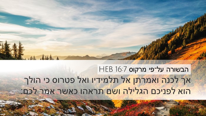 הבשורה על־פי מרקוס 16:7 HEB Bible Verse Image