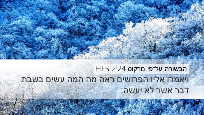 הבשורה על־פי מרקוס 2:24 HEB Bible Verse Image