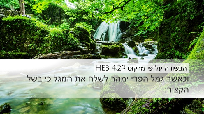 הבשורה על־פי מרקוס 4:29 HEB Bible Verse Image