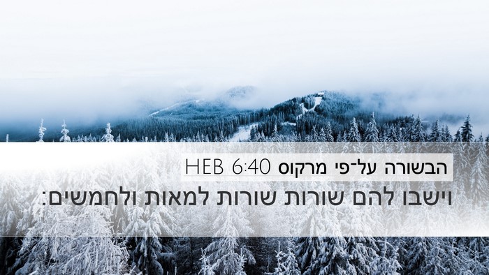 הבשורה על־פי מרקוס 6:40 HEB Desktop Wallpaper - וישבו להם שורות שורות - Desktop Bible Verse Wallpaper