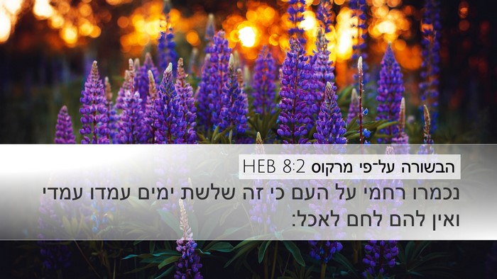 הבשורה על־פי מרקוס 8:2 HEB Desktop Wallpaper - נכמרו רחמי על העם כי זה - Desktop Bible Verse Wallpaper