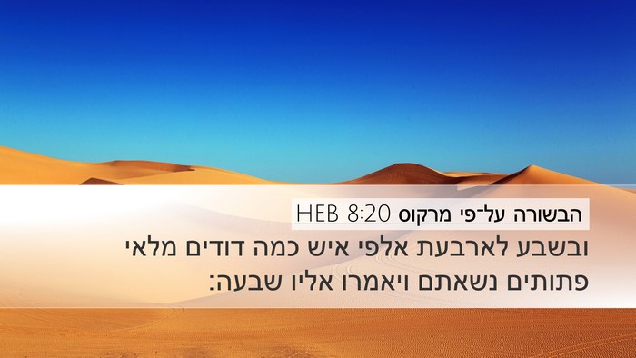 הבשורה על־פי מרקוס 8:20 HEB Desktop Wallpaper - ובשבע לארבעת אלפי איש כמה - Desktop Bible Verse Wallpaper