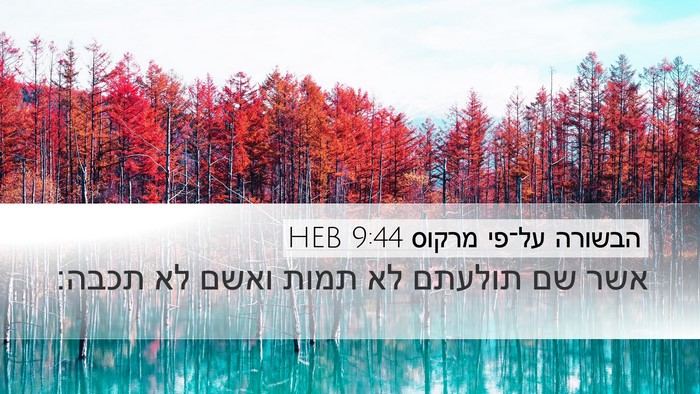 הבשורה על־פי מרקוס 9:44 HEB Desktop Wallpaper - אשר שם תולעתם לא תמות ואשם - Desktop Bible Verse Wallpaper