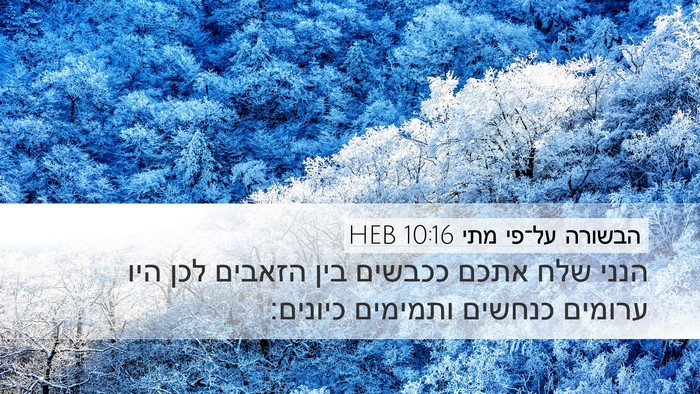 הבשורה על־פי מתי 10:16 HEB Bible Verse Image