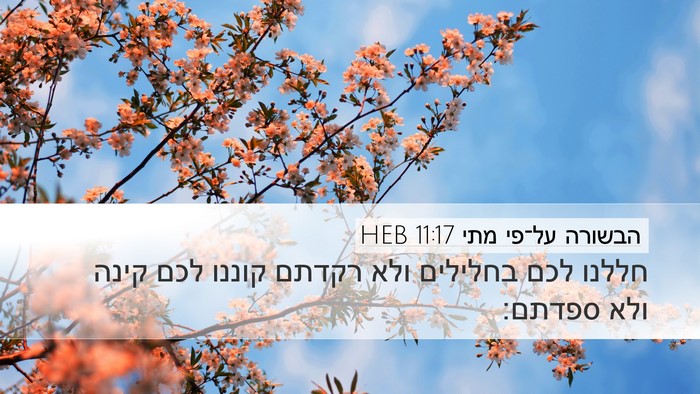 הבשורה על־פי מתי 11:17 HEB Desktop Wallpaper - חללנו לכם בחלילים ולא - Desktop Bible Verse Wallpaper