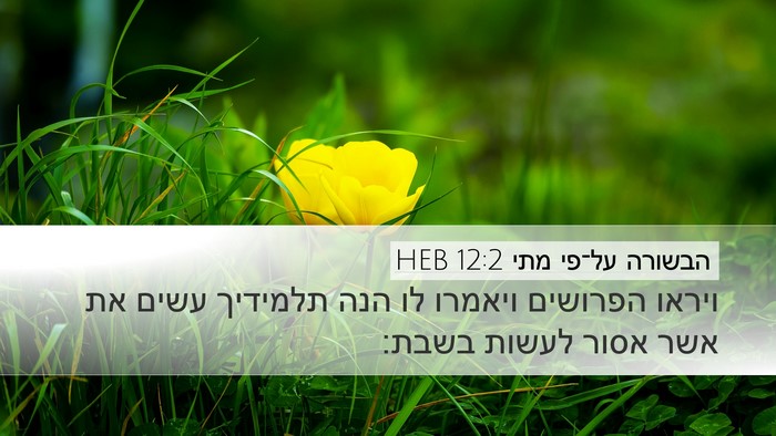 הבשורה על־פי מתי 12:2 HEB Bible Verse Image