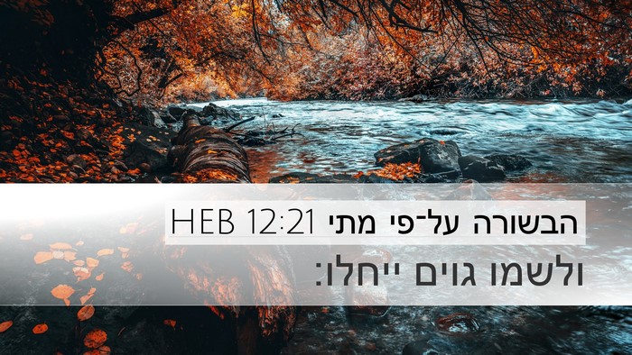 הבשורה על־פי מתי 12:21 HEB Bible Verse Image
