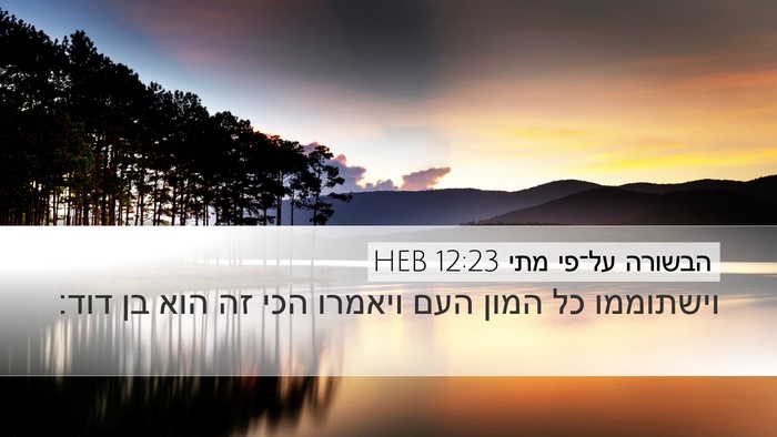 הבשורה על־פי מתי 12:23 HEB Bible Verse Image
