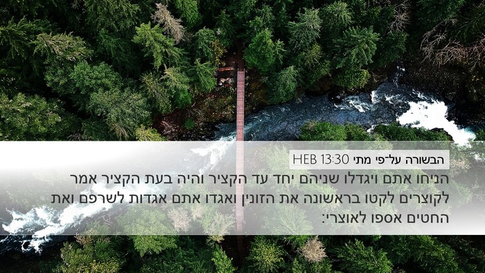 הבשורה על־פי מתי 13:30 HEB Bible Verse Image