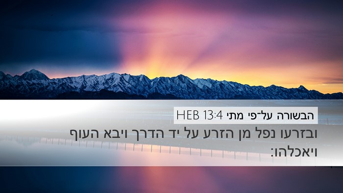 הבשורה על־פי מתי 13:4 HEB Bible Verse Image