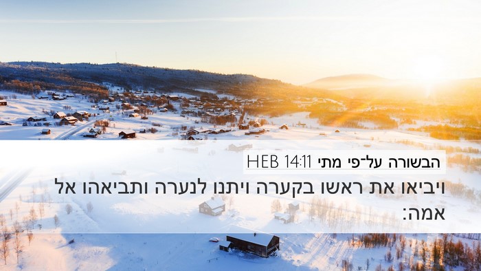 הבשורה על־פי מתי 14:11 HEB Desktop Wallpaper - ויביאו את ראשו בקערה ויתנו - Desktop Bible Verse Wallpaper