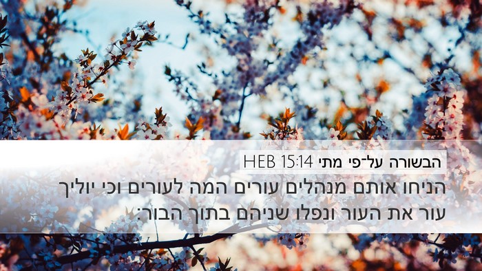 הבשורה על־פי מתי 15:14 HEB Bible Verse Image