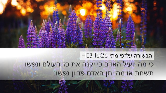 הבשורה על־פי מתי 16:26 HEB Bible Verse Image