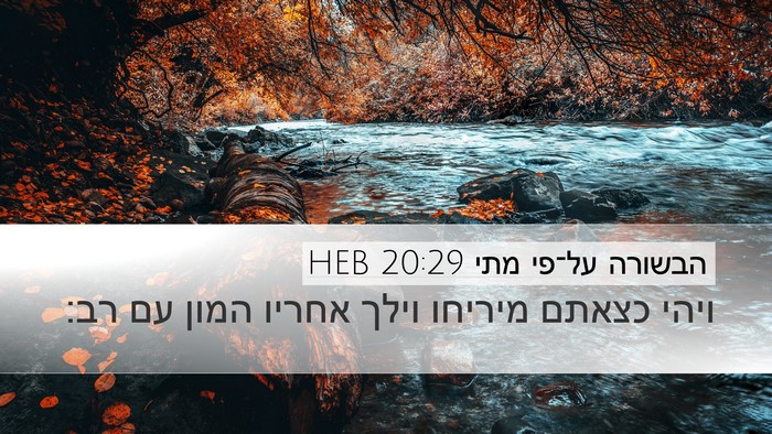הבשורה על־פי מתי 20:29 HEB Desktop Wallpaper - ויהי כצאתם מיריחו וילך - Desktop Bible Verse Wallpaper