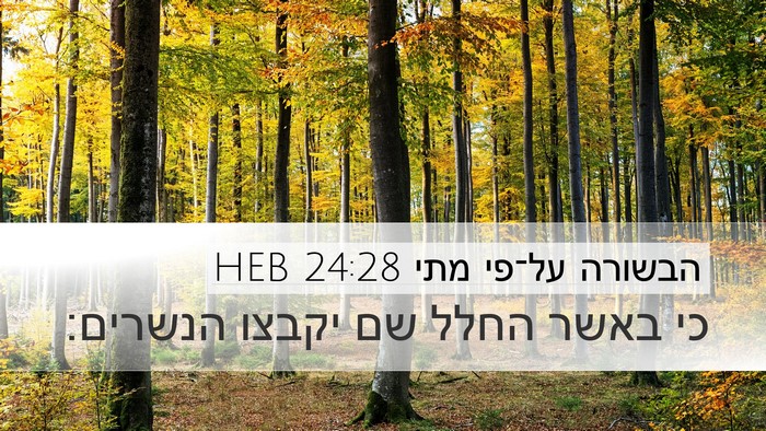 הבשורה על־פי מתי 24:28 HEB Bible Verse Image