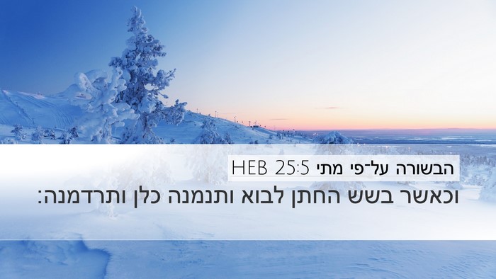 הבשורה על־פי מתי 25:5 HEB Bible Verse Image