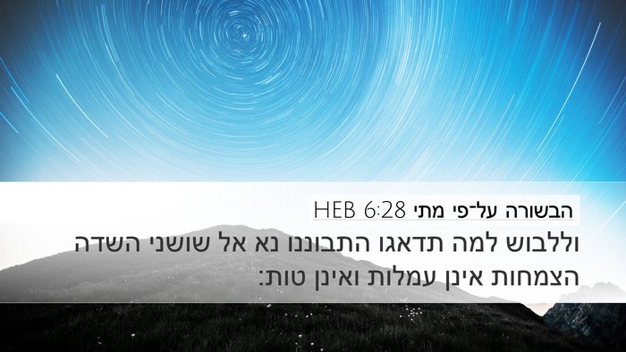הבשורה על־פי מתי 6:28 HEB Bible Verse Image