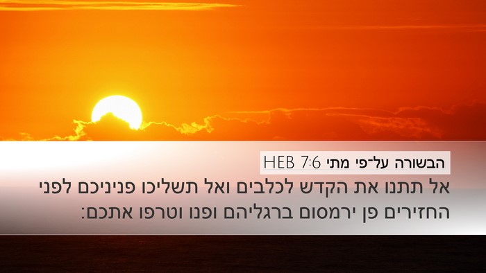 הבשורה על־פי מתי 7:6 HEB Bible Verse Image