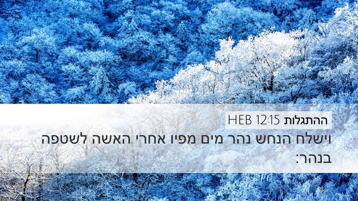 ההתגלות 12:15 HEB Bible Verse Image