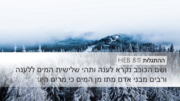ההתגלות 8:11 HEB Bible Verse Image