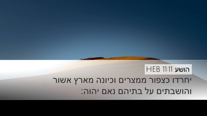 הושע 11:11 HEB Bible Verse Image