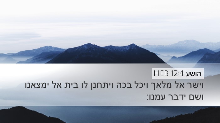 הושע 12:4 HEB Bible Verse Image