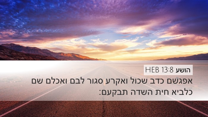 הושע 13:8 HEB Bible Verse Image