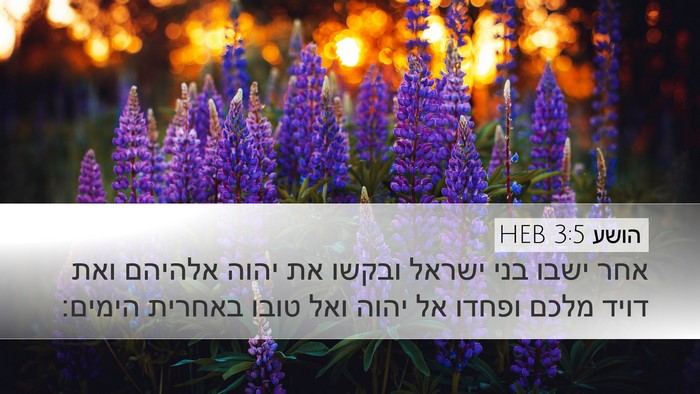 הושע 3:5 HEB Bible Verse Image