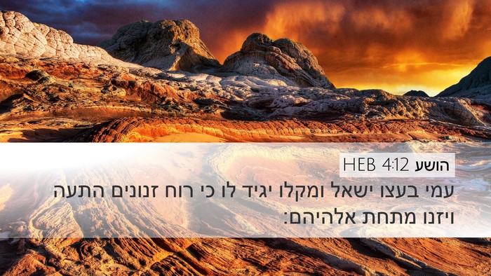 הושע 4:12 HEB Bible Verse Image