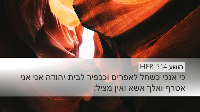 הושע 5:14 HEB Bible Verse Image