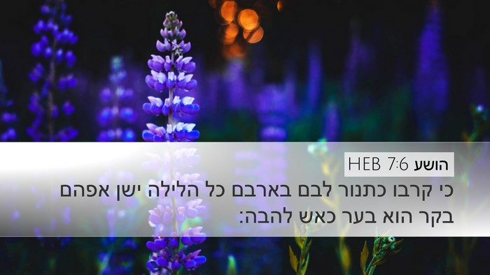הושע 7:6 HEB Bible Verse Image