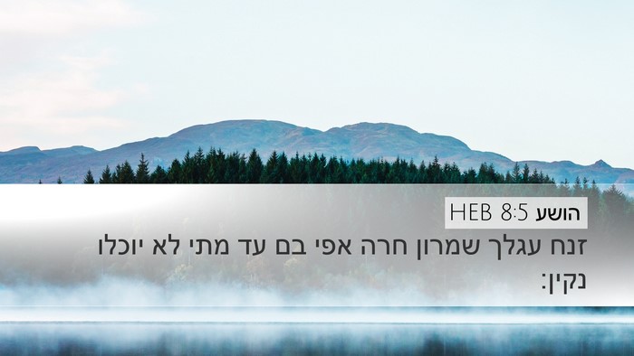 הושע 8:5 HEB Bible Verse Image
