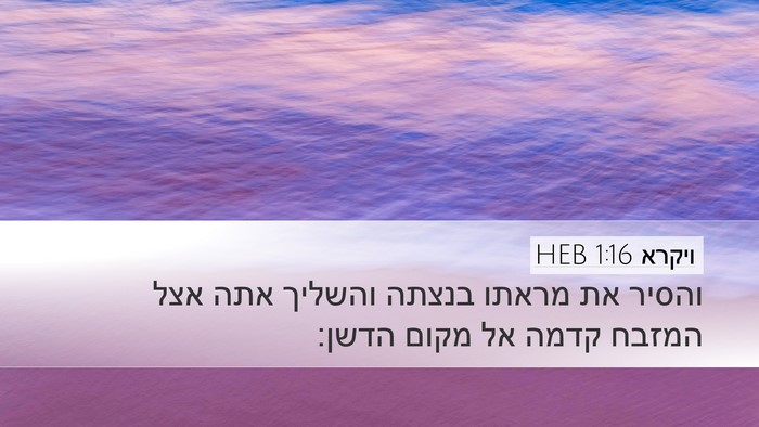 ויקרא 1:16 HEB Desktop Wallpaper - והסיר את מראתו בנצתה - Desktop Bible Verse Wallpaper