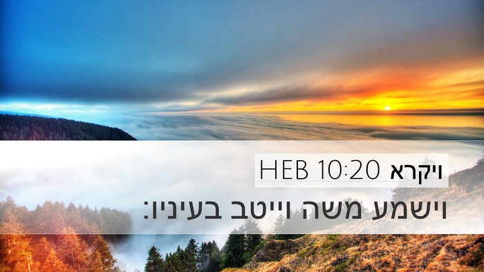 ויקרא 10:20 HEB Desktop Wallpaper - וישמע משה וייטב - Desktop Bible Verse Wallpaper