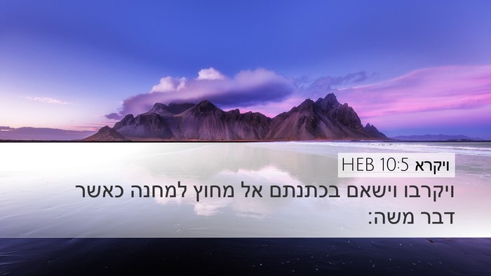 ויקרא 10:5 HEB Bible Verse Image