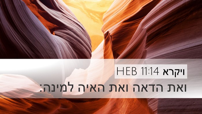 ויקרא 11:14 HEB Desktop Wallpaper - ואת הדאה ואת האיה - Desktop Bible Verse Wallpaper