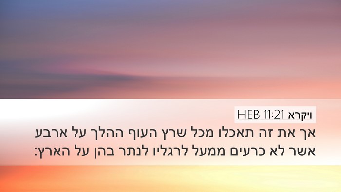 ויקרא 11:21 HEB Desktop Wallpaper - אך את זה תאכלו מכל שרץ העוף - Desktop Bible Verse Wallpaper