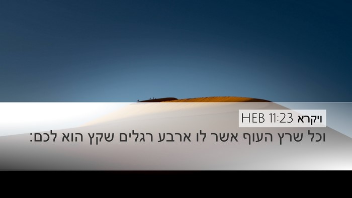 ויקרא 11:23 HEB Bible Verse Image