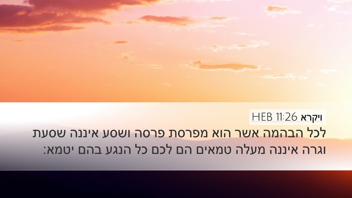 ויקרא 11:26 HEB Bible Verse Image
