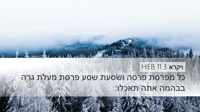 ויקרא 11:3 HEB Desktop Wallpaper - כל מפרסת פרסה ושסעת שסע - Desktop Bible Verse Wallpaper