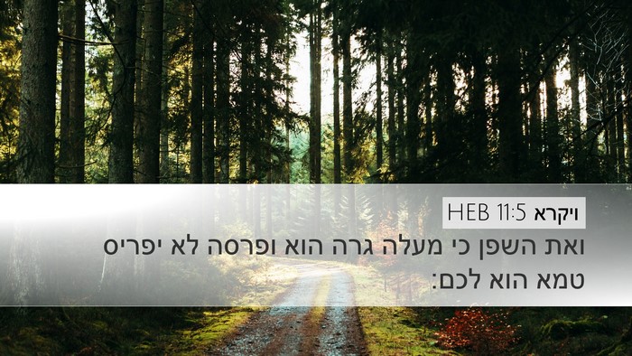 ויקרא 11:5 HEB Bible Verse Image