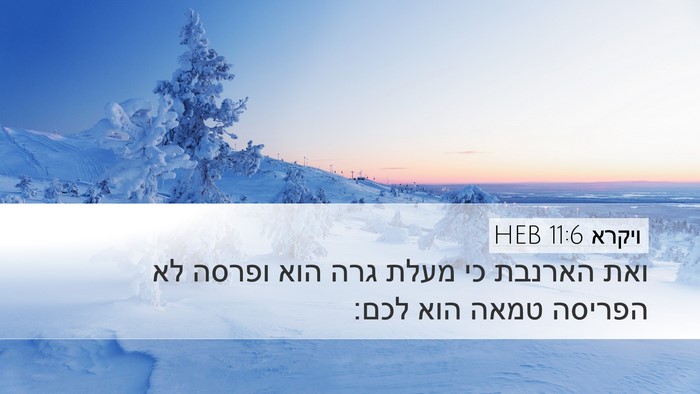 ויקרא 11:6 HEB Desktop Wallpaper - ואת הארנבת כי מעלת גרה הוא - Desktop Bible Verse Wallpaper