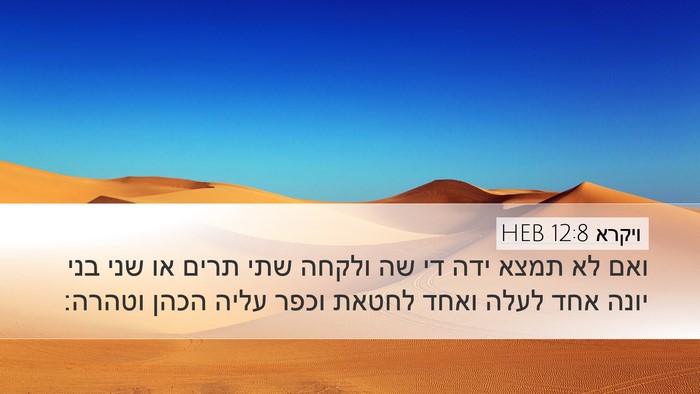ויקרא 12:8 HEB Bible Verse Image