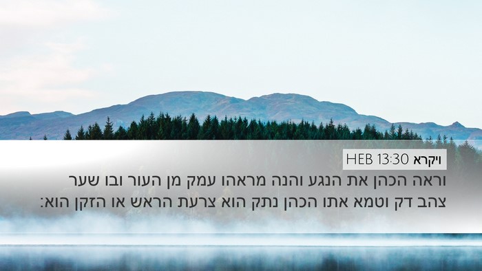 ויקרא 13:30 HEB Bible Verse Image
