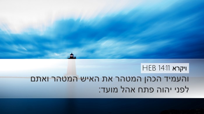ויקרא 14:11 HEB Desktop Wallpaper - והעמיד הכהן המטהר את האיש - Desktop Bible Verse Wallpaper