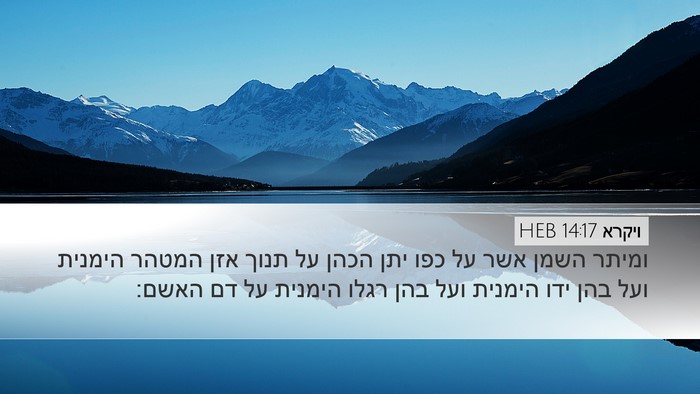 ויקרא 14:17 HEB Bible Verse Image