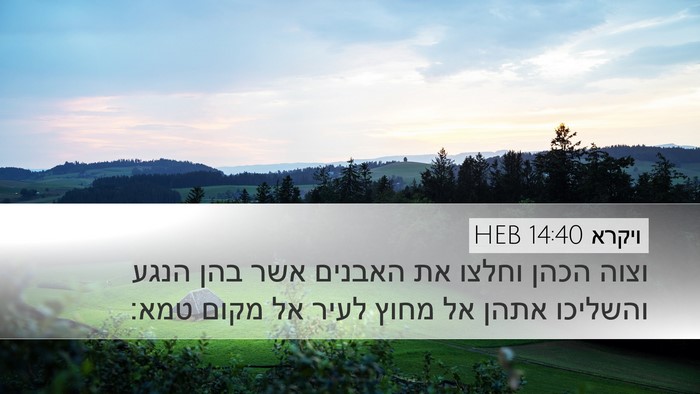 ויקרא 14:40 HEB Bible Verse Image