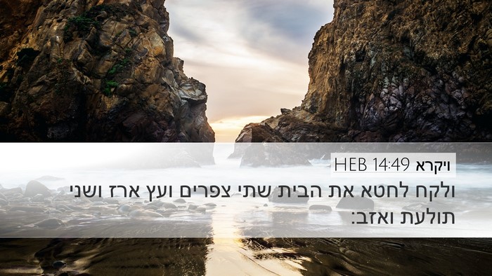 ויקרא 14:49 HEB Bible Verse Image