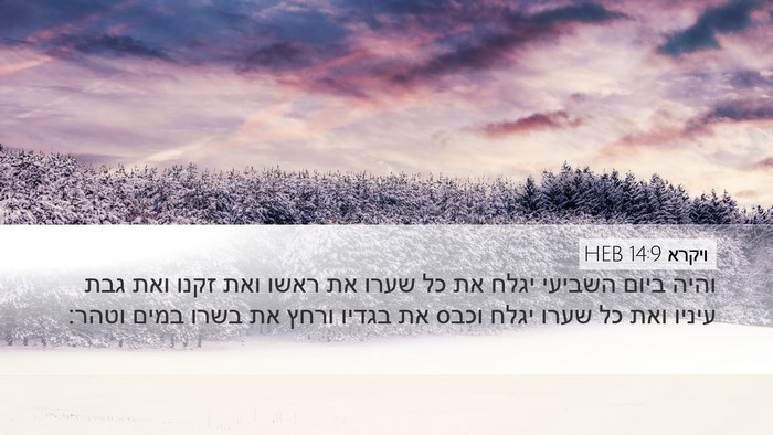 ויקרא 14:9 HEB Bible Verse Image