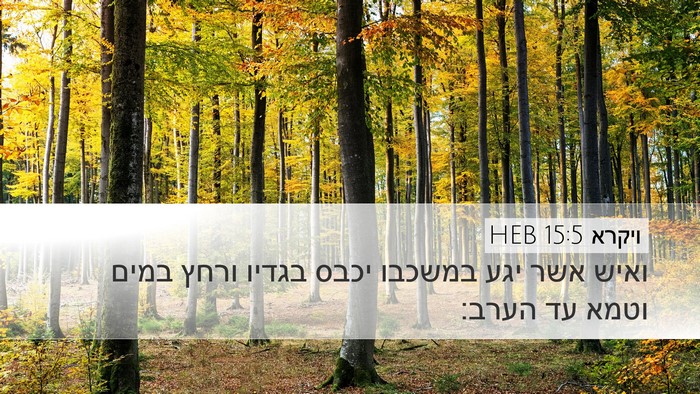 ויקרא 15:5 HEB Bible Verse Image